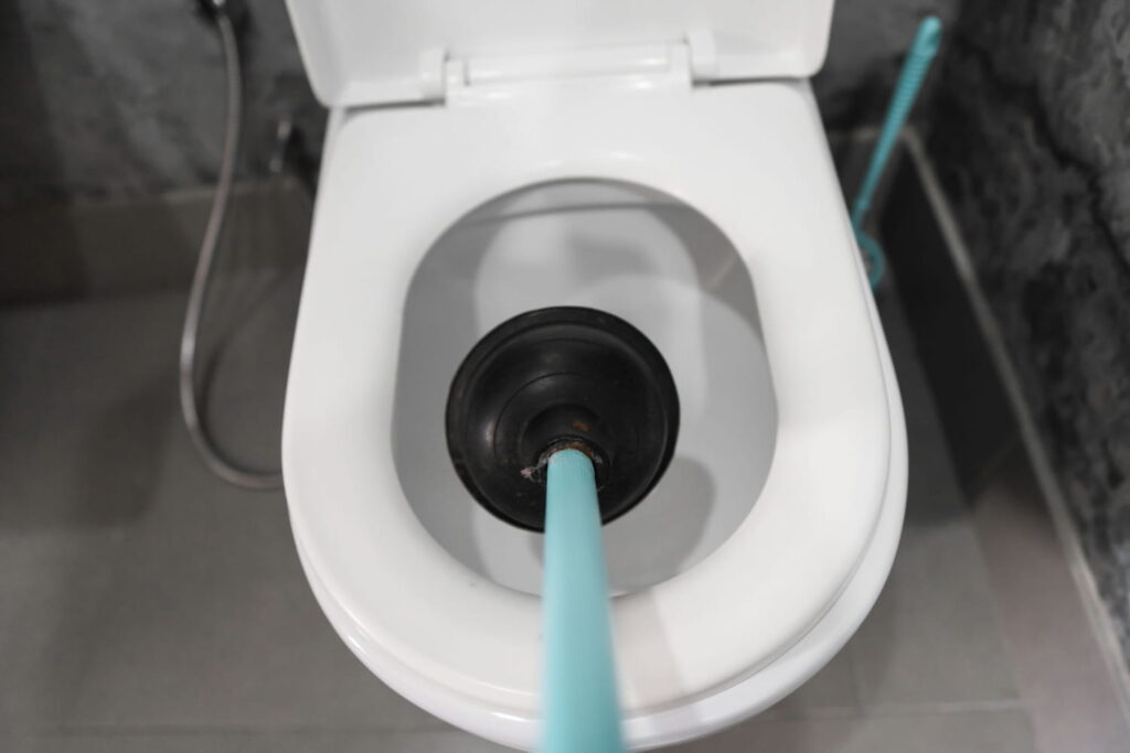 Comment faire quand l’eau des toilettes remonte ? Little Breizh